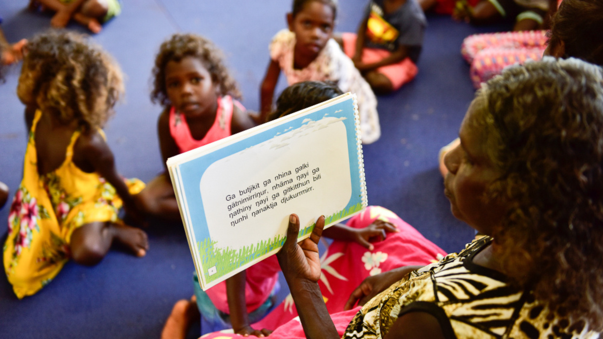 aboriginal primary students