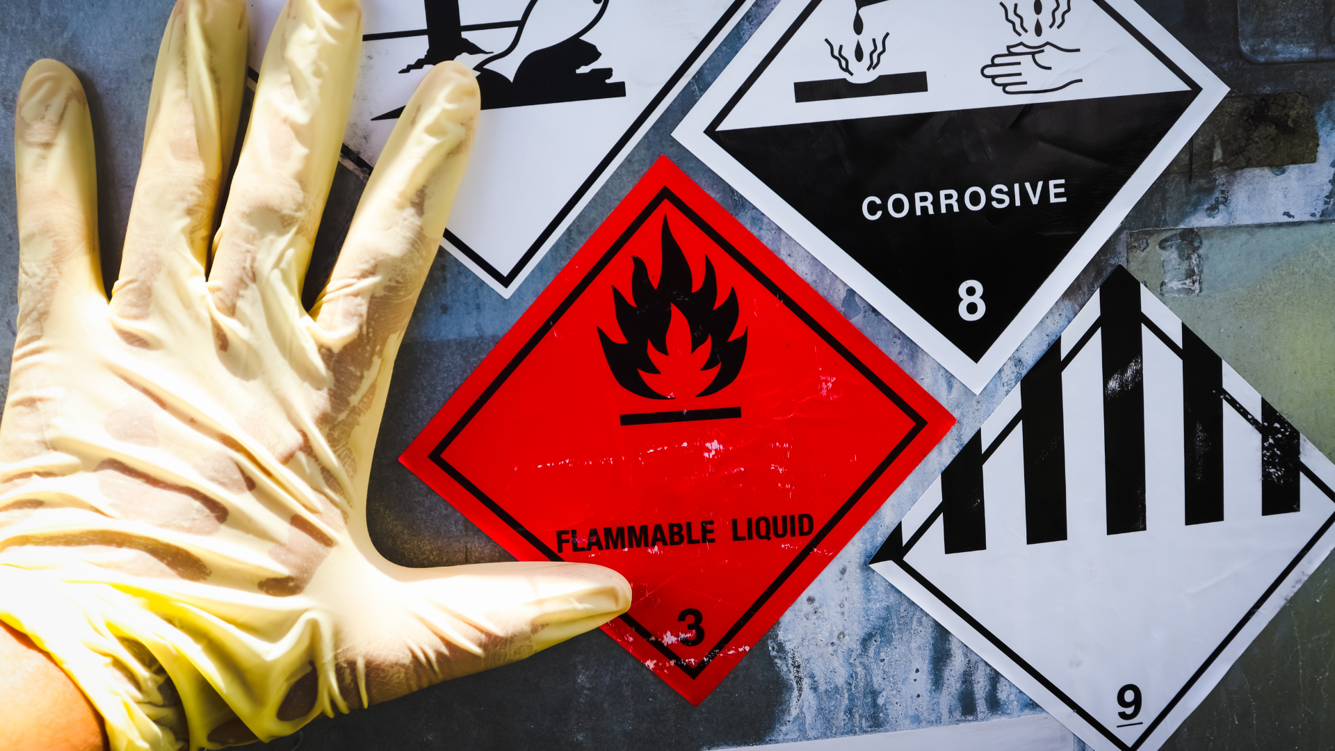 Hazard and Risk