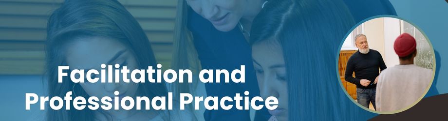 Facilitation and Professional Practice