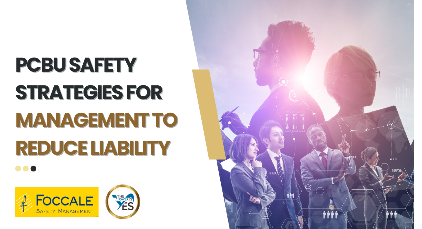 PCBU Safety Strategies for Management to Reduce Liability