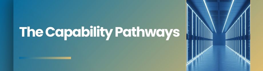 The Capability Pathways