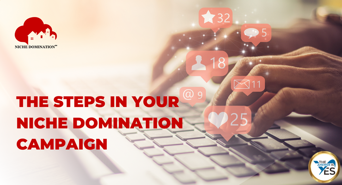 The-Steps-in-Your-Niche-Domination-Campaign-1-1