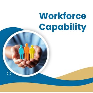 The Workforce Capability Gateway focuses on building capability within professional and organisational environments.