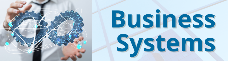 business systems
