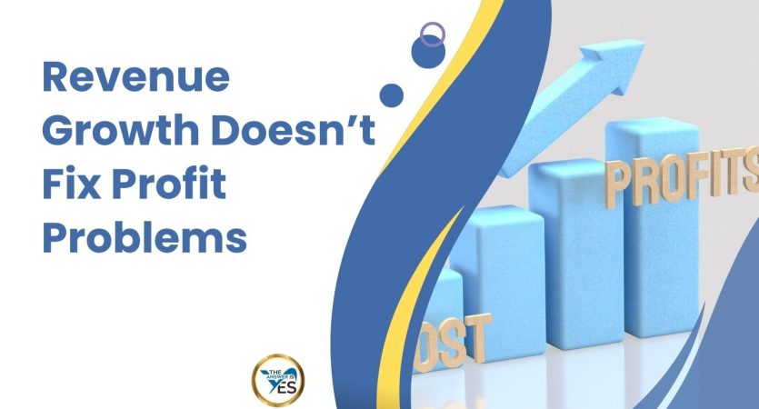 Revenue Growth Doesn’t Fix Profit Problems